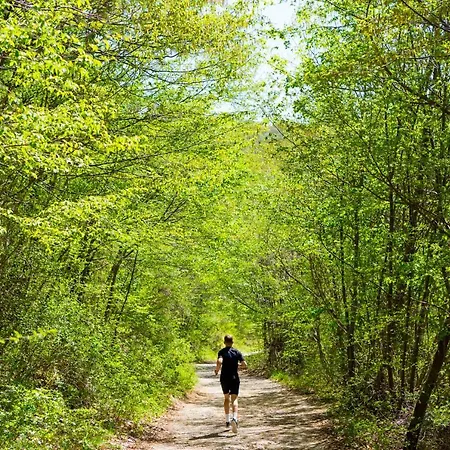 Piano - Ucka Nature Park Lupoglav (Istria)